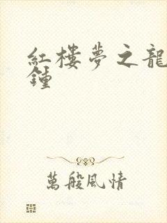 红楼梦之龙套秦钟