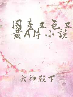 国产又色又爽又黄A片小说