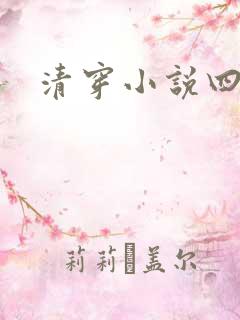 清穿小说四四