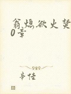 翁熄欲火焚身50章