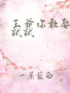 王爷你敢娶小三试试