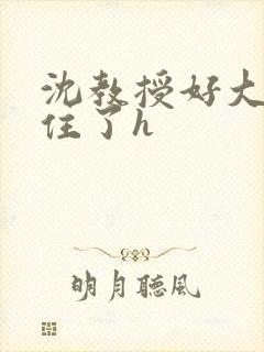 沈教授好大含不住了h