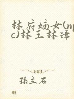 林府嫡女(npc)林玉林璋