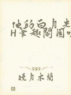 他的白月光HvH笔趣阁团叽叽