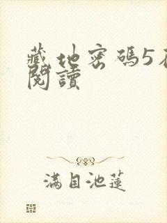 藏地密码5在线阅读