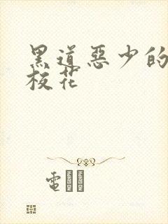 黑道恶少的淘气校花