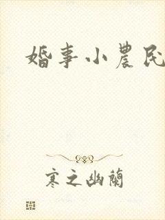 婚事小农民