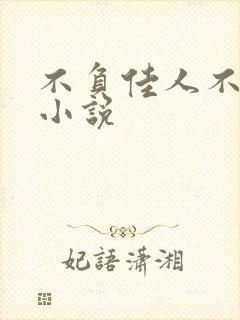 不负佳人不负卿小说