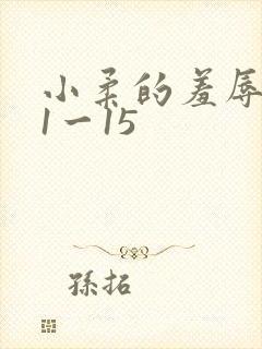 小柔的羞辱日记1一15