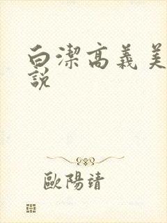 白洁高义美红小说