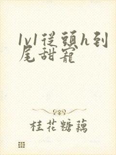 1v1从头h到尾甜宠