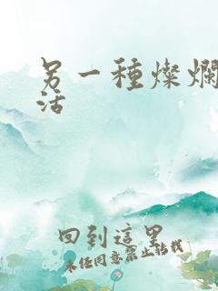 另一种灿烂的生活