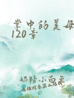 掌中的美母版主120章