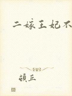 二嫁王妃不好惹