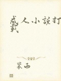 成人小说打包下载