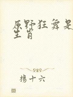 原野狂舞是什么生肖