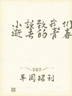 小说致我们终将逝去的青春