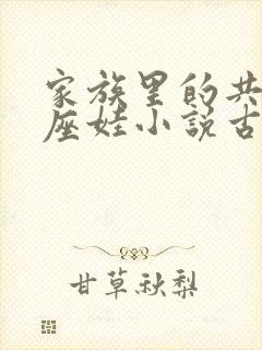 家族里的共用小座娃小说古代