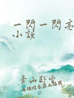 一闪一闪亮晶晶小说