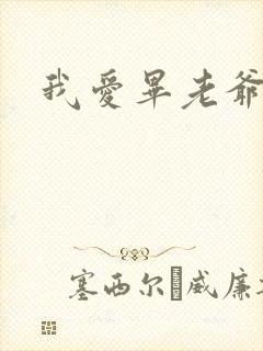 我爱毕老爷