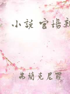 小说 官场新贵