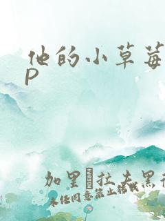 他的小草莓POP