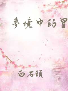 梦境中的冒险家