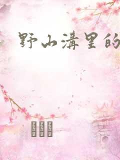 野山沟里的村庄