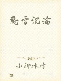 飞雪沉沦