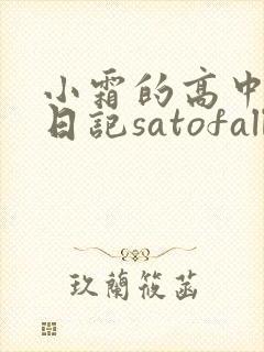 小霜的高中成长日记satofall