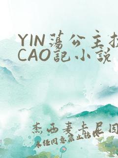 YIN荡公主挨CAO记小说