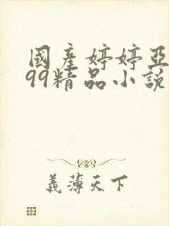 国产婷婷亚洲999精品小说