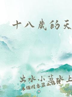 十八岁的天空续