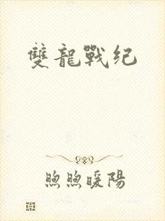 双龙战纪