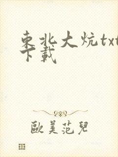 东北大炕txt下载