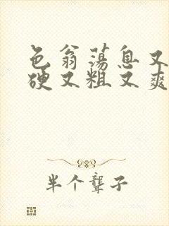 色翁荡息又大又硬又粗又爽电影