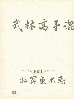 武林高手混都市