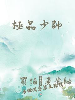 极品少帅