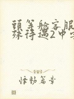 头等舱客服的特殊待遇2中字