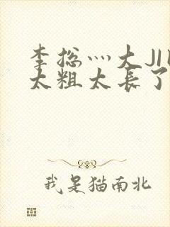 李总灬大JI巴太粗太长了