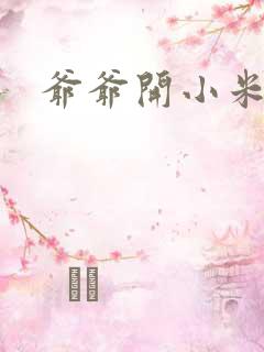 爷爷开小米的包