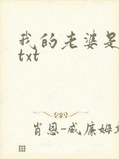 我的老婆是上司txt