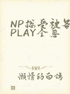 NP总受被各种PLAY全息