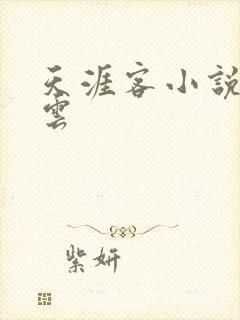 天涯客小说百度云