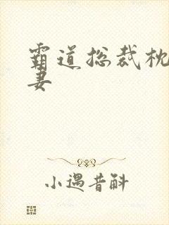 霸道总裁枕边前妻