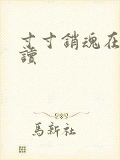 寸寸销魂在线阅读