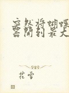 突然将蝴蝶遥控器开到最大