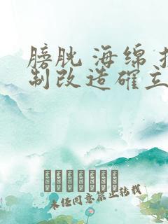 膀胱 海绵 控制改造确立m