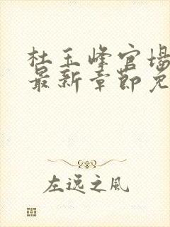 杜玉峰官场小说最新章节免费阅读