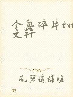 全息碎片txt文轩